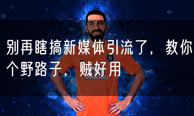 别再瞎搞新媒体引流了,教你个野路子,贼好用
