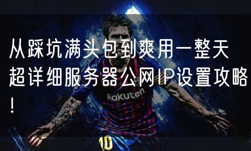 从踩坑满头包到爽用一整天 超详细服务器公网IP设置攻略!