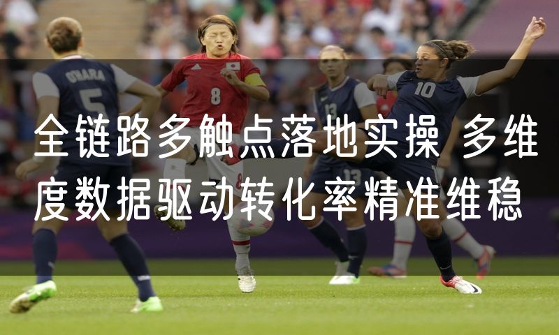 全链路多触点落地实操 多维度数据驱动转化率精准维稳