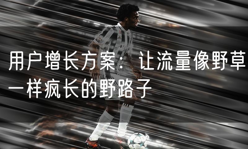用户增长方案:让流量像野草一样疯长的野路子