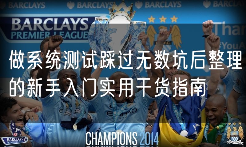 做系统测试踩过无数坑后整理的新手入门实用干货指南