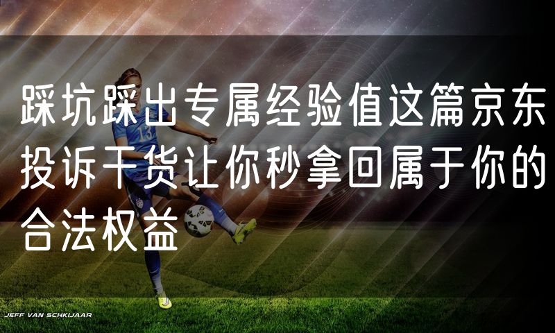 踩坑踩出专属经验值这篇京东投诉干货让你秒拿回属于你的合法权益