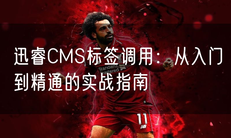 迅睿CMS标签调用:从入门到精通的实战指南