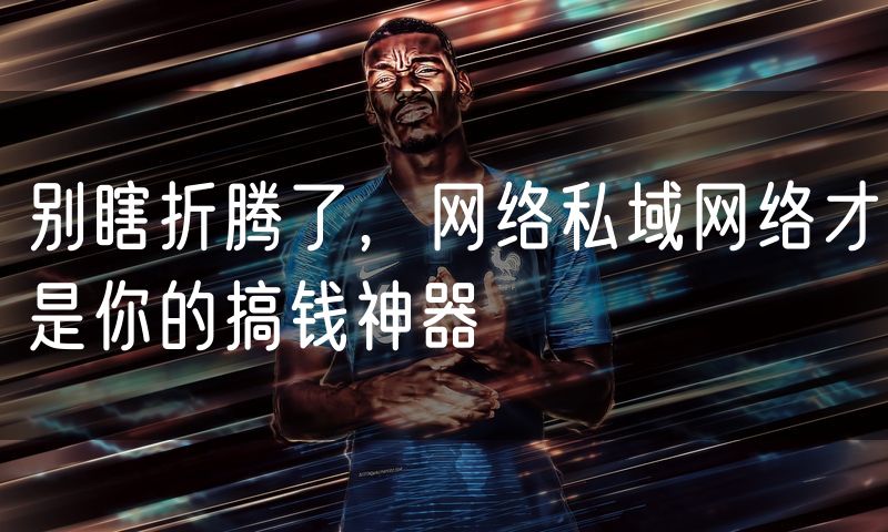 别瞎折腾了,网络私域网络才是你的搞钱神器