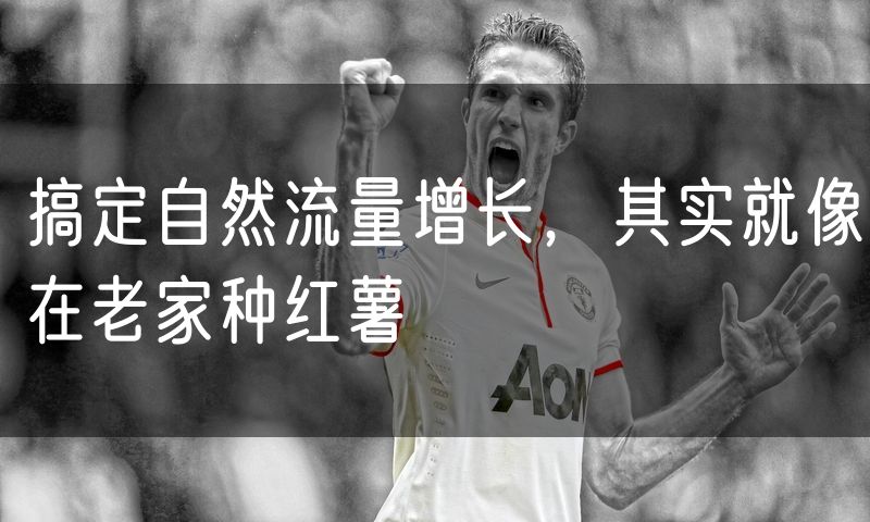 搞定自然流量增长,其实就像在老家种红薯