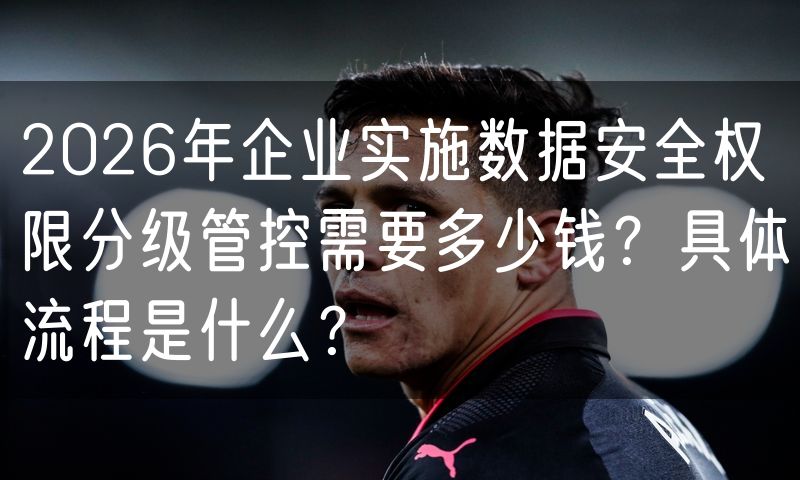 2026年企业实施数据安全权限分级管控需要多少钱?具体流程是什么?