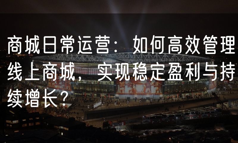 商城日常运营:如何高效管理线上商城,实现稳定盈利与持续增长?