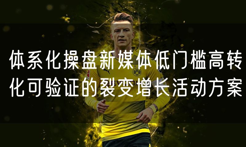 体系化操盘新媒体低门槛高转化可验证的裂变增长活动方案