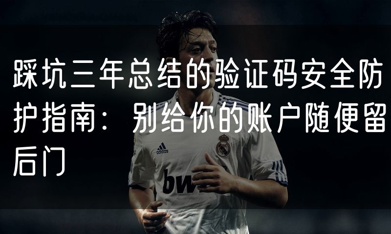 踩坑三年总结的验证码安全防护指南:别给你的账户随便留后门