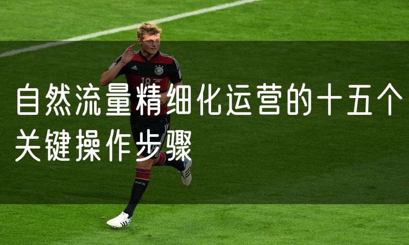 自然流量精细化运营的十五个关键操作步骤