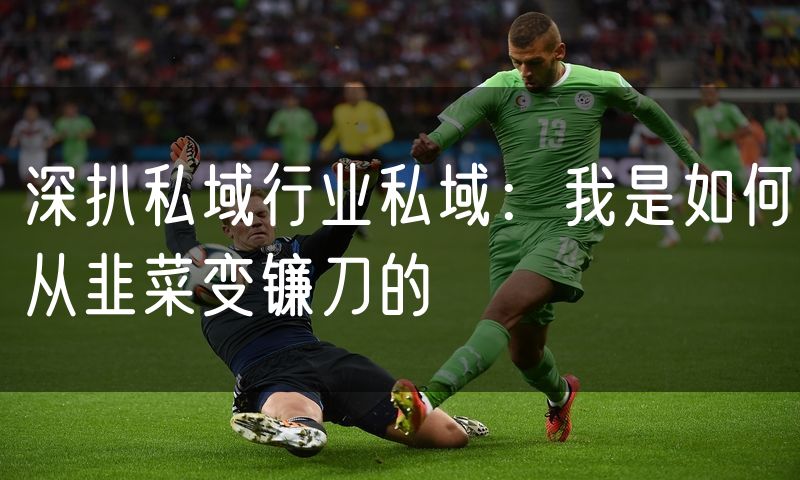 深扒私域行业私域：我是如何从韭菜变镰刀的