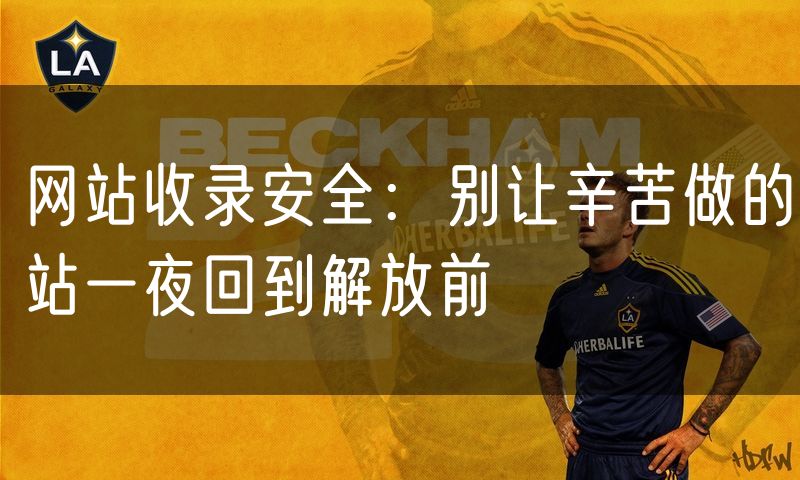 网站收录安全：别让辛苦做的站一夜回到解放前