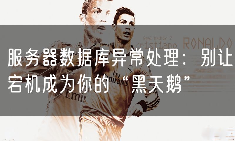 服务器数据库异常处理：别让宕机成为你的“黑天鹅”