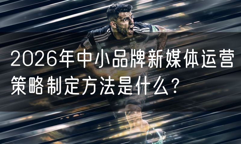 2026年中小品牌新媒体运营策略制定方法是什么?