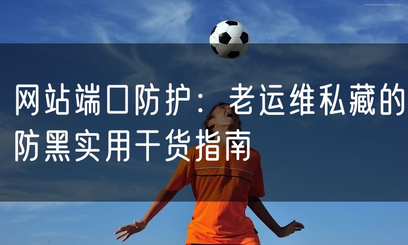 网站端口防护:老运维私藏的防黑实用干货指南
