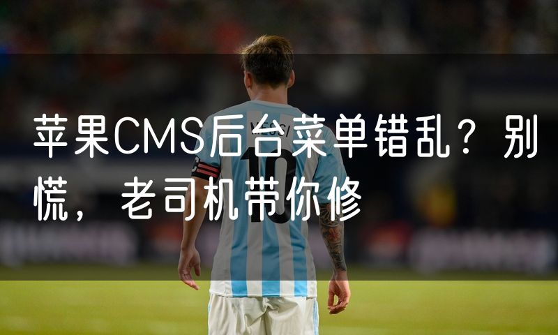 苹果CMS后台菜单错乱？别慌，老司机带你修