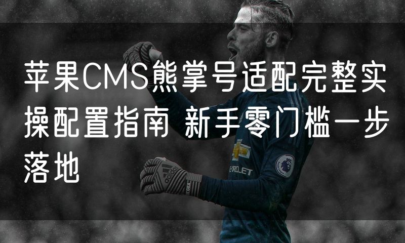 苹果CMS熊掌号适配完整实操配置指南 新手零门槛一步落地