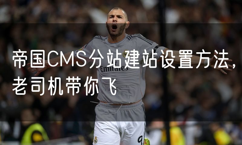帝国CMS分站建站设置方法,老司机带你飞