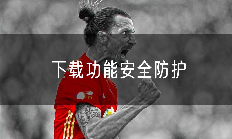 下载功能安全防护