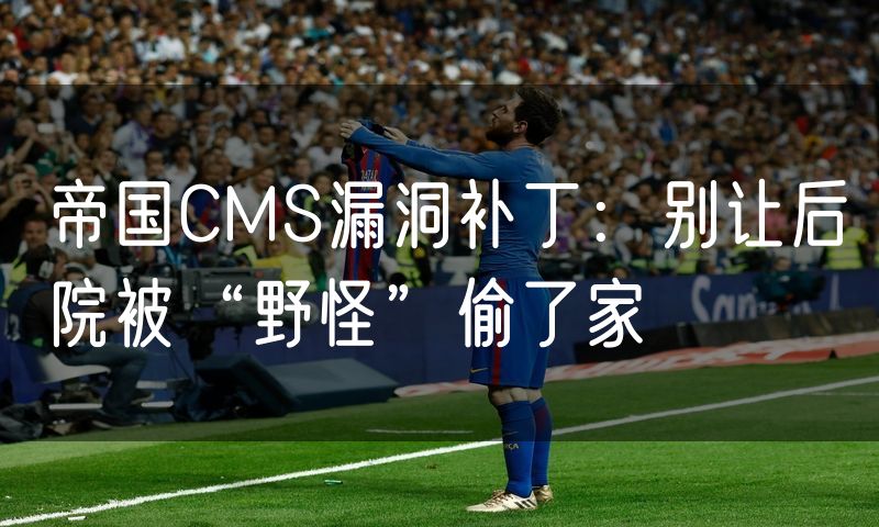 帝国CMS漏洞补丁：别让后院被“野怪”偷了家