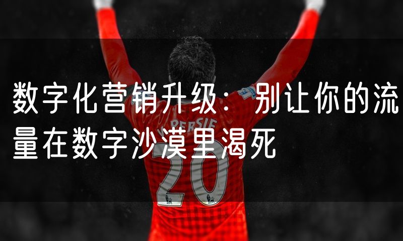 数字化营销升级:别让你的流量在数字沙漠里渴死