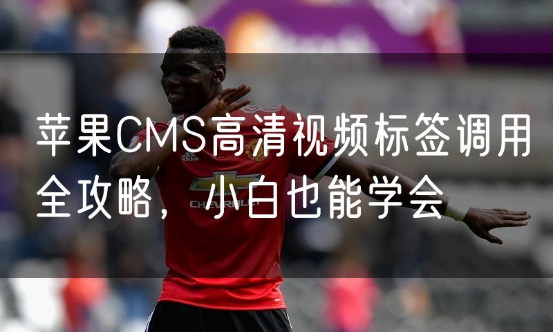 苹果CMS高清视频标签调用全攻略,小白也能学会