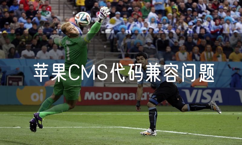 苹果CMS代码兼容问题
