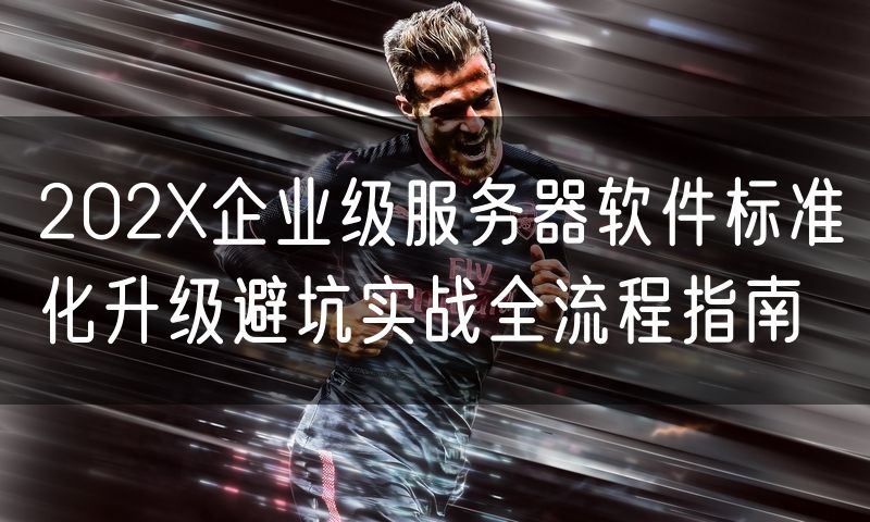 202X企业级服务器软件标准化升级避坑实战全流程指南