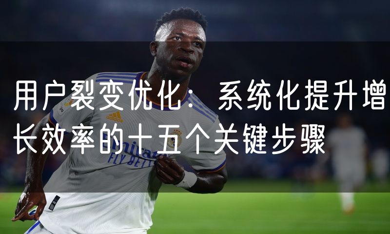 用户裂变优化:系统化提升增长效率的十五个关键步骤