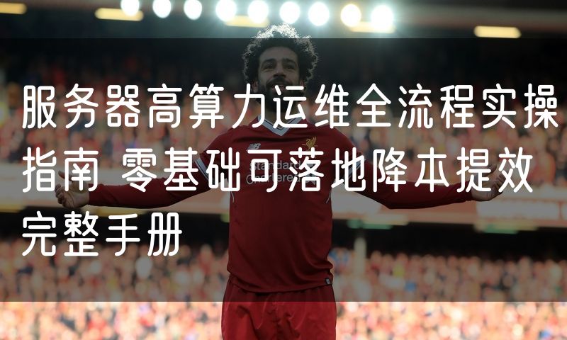 服务器高算力运维全流程实操指南 零基础可落地降本提效完整手册