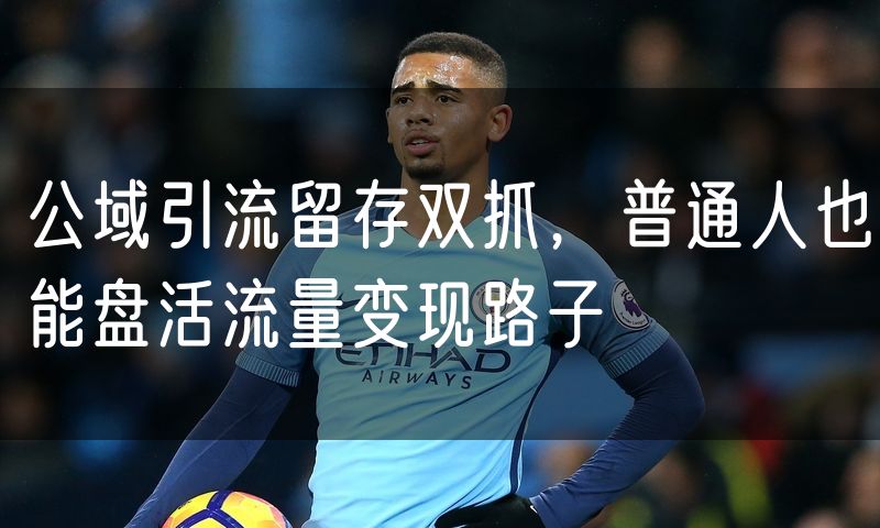 公域引流留存双抓,普通人也能盘活流量变现路子