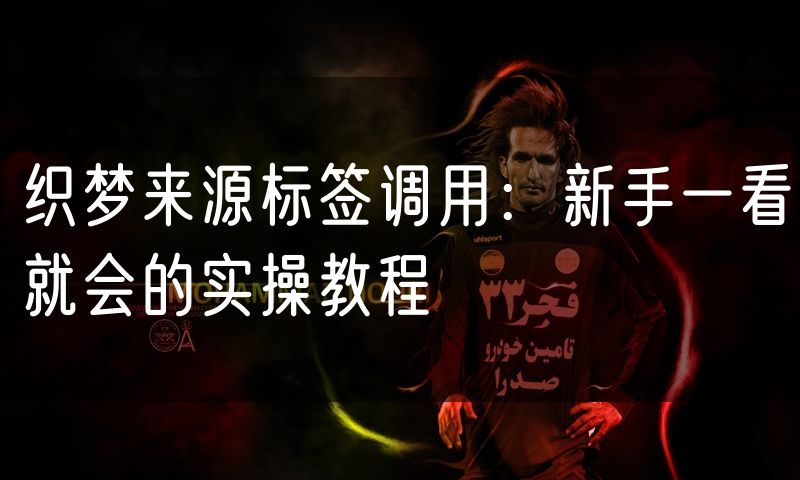织梦来源标签调用:新手一看就会的实操教程