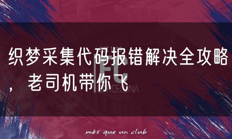 织梦采集代码报错解决全攻略,老司机带你飞