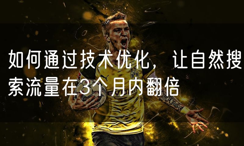如何通过技术优化,让自然搜索流量在3个月内翻倍