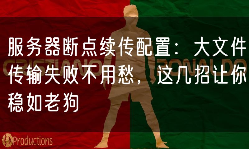 服务器断点续传配置:大文件传输失败不用愁,这几招让你稳如老狗