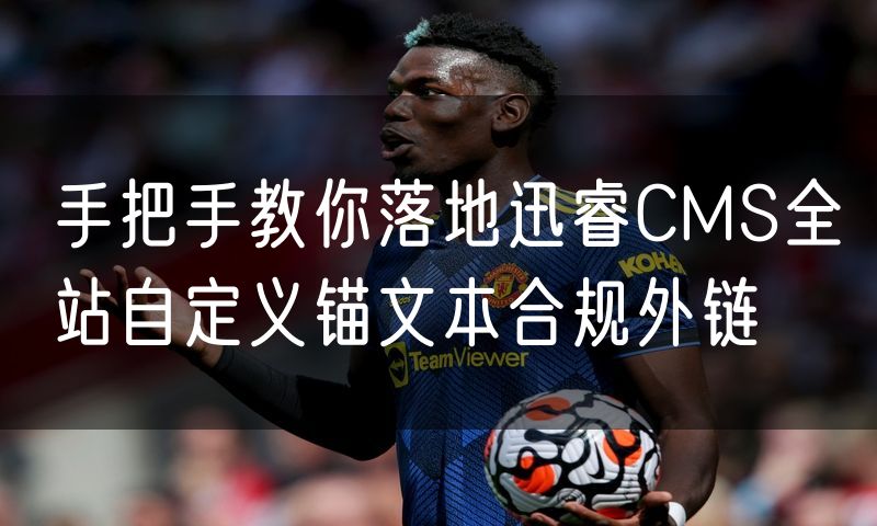 手把手教你落地迅睿CMS全站自定义锚文本合规外链