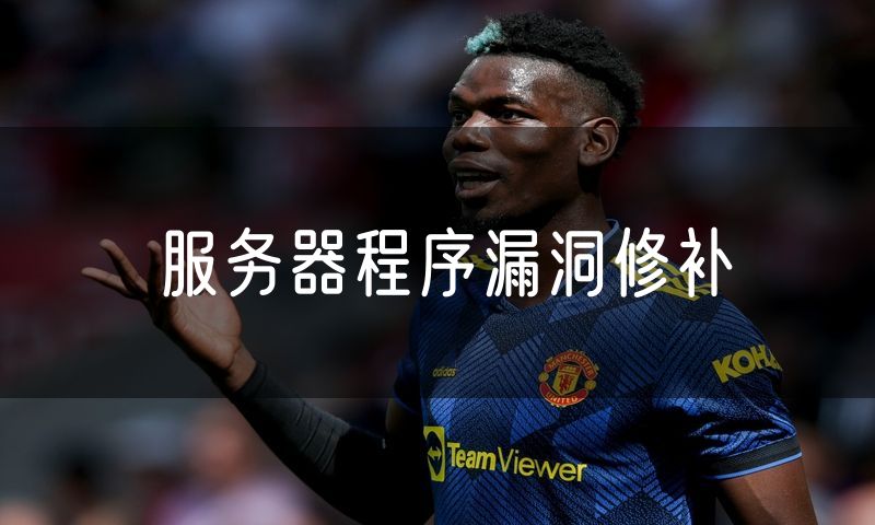 服务器程序漏洞修补