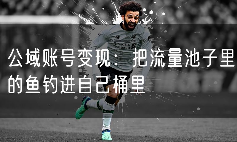 公域账号变现:把流量池子里的鱼钓进自己桶里