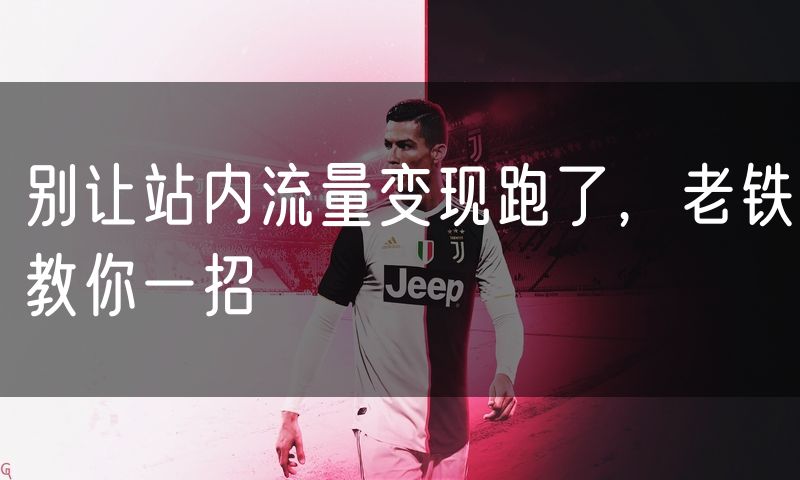 别让站内流量变现跑了，老铁教你一招
