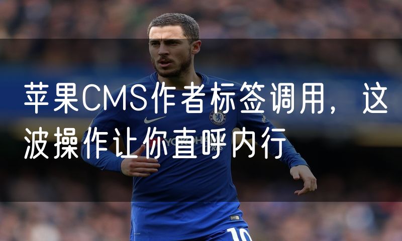 苹果CMS作者标签调用，这波操作让你直呼内行