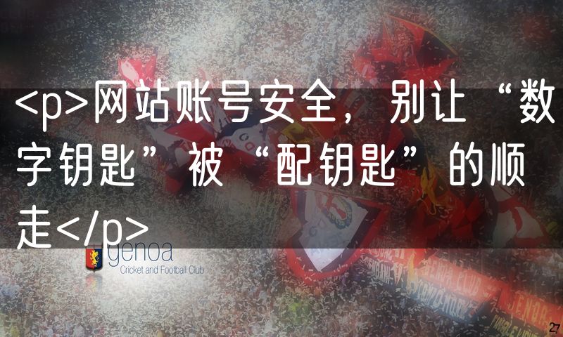 <p>网站账号安全,别让“数字钥匙”被“配钥匙”的顺走</p>