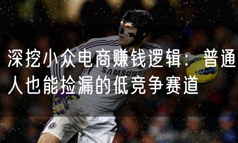 深挖小众电商赚钱逻辑：普通人也能捡漏的低竞争赛道