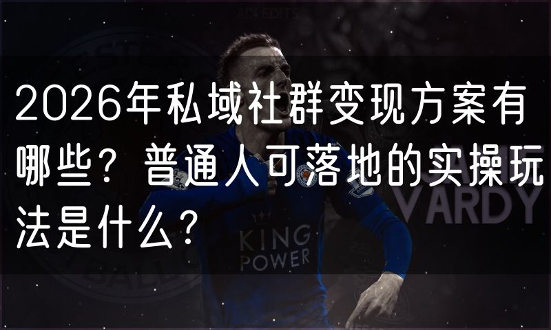 2026年私域社群变现方案有哪些?普通人可落地的实操玩法是什么?