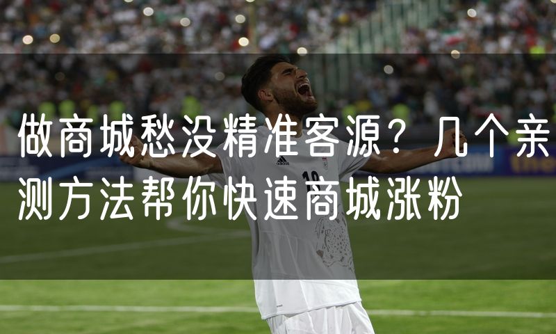 做商城愁没精准客源?几个亲测方法帮你快速商城涨粉