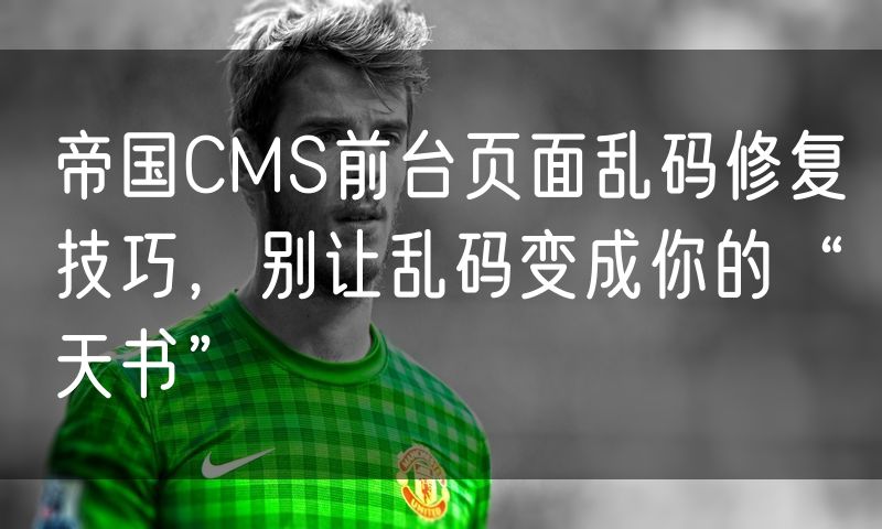 帝国CMS前台页面乱码修复技巧,别让乱码变成你的“天书”