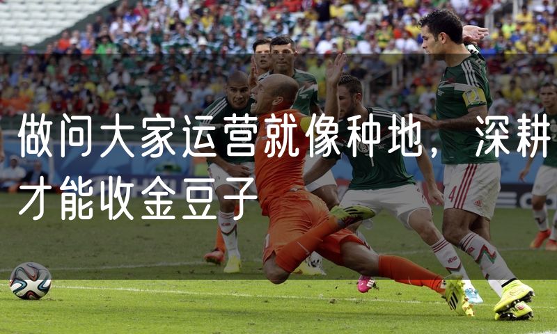 做问大家运营就像种地，深耕才能收金豆子