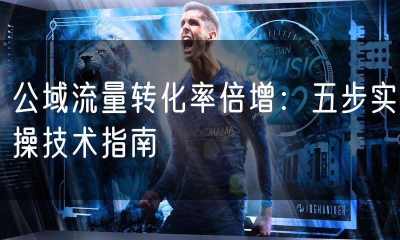 公域流量转化率倍增:五步实操技术指南