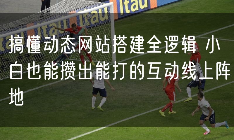搞懂动态网站搭建全逻辑 小白也能攒出能打的互动线上阵地