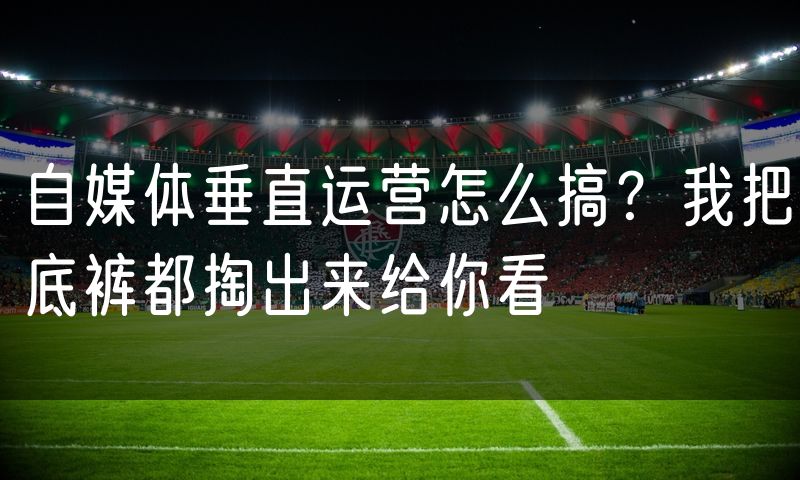 自媒体垂直运营怎么搞?我把底裤都掏出来给你看