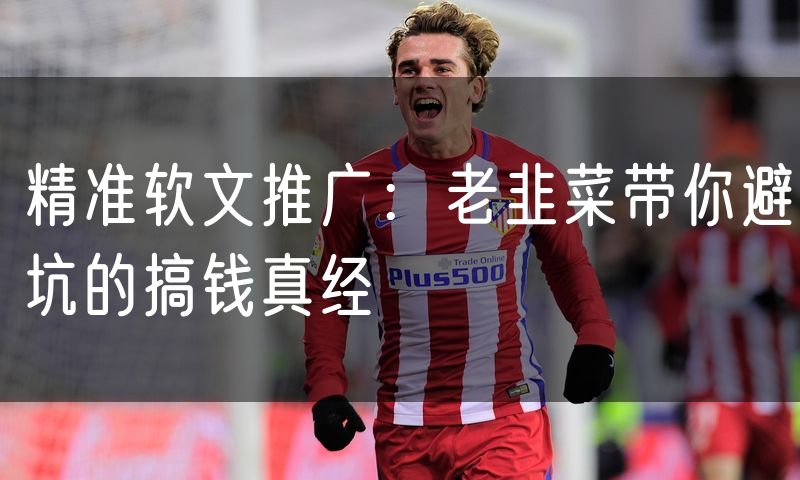 精准软文推广:老韭菜带你避坑的搞钱真经
